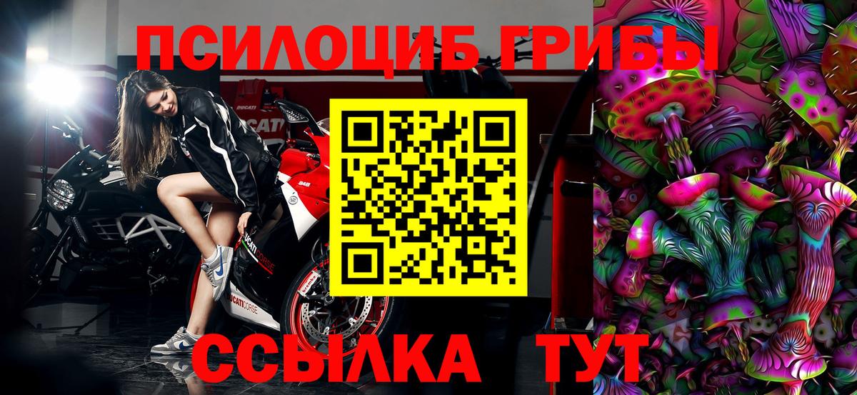 Галлюциногенные грибы Magic Shrooms Новокубанск
